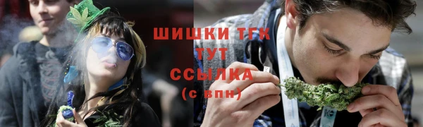 сатива Богородск